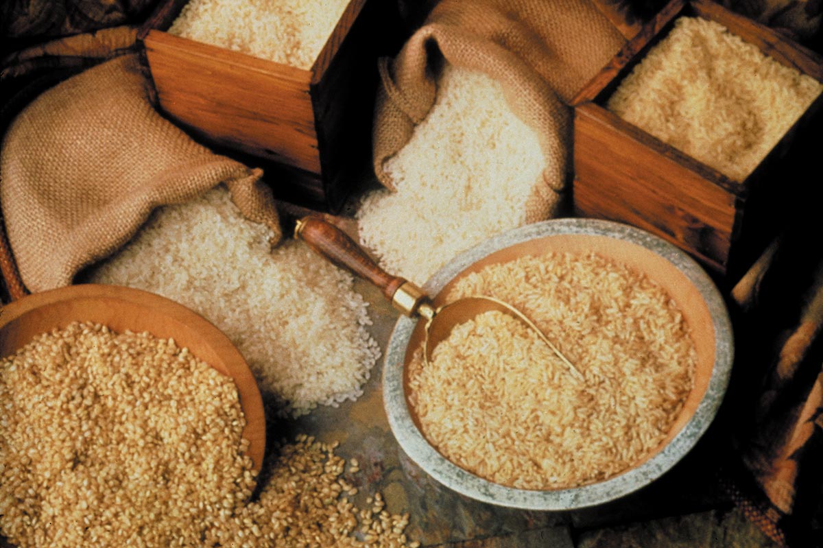 美国稻米供应量及使用量概况