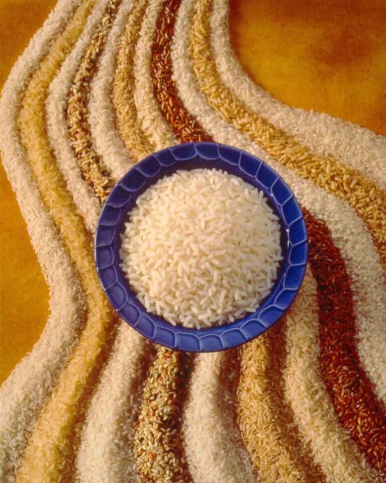 美国稻米的黄金传奇