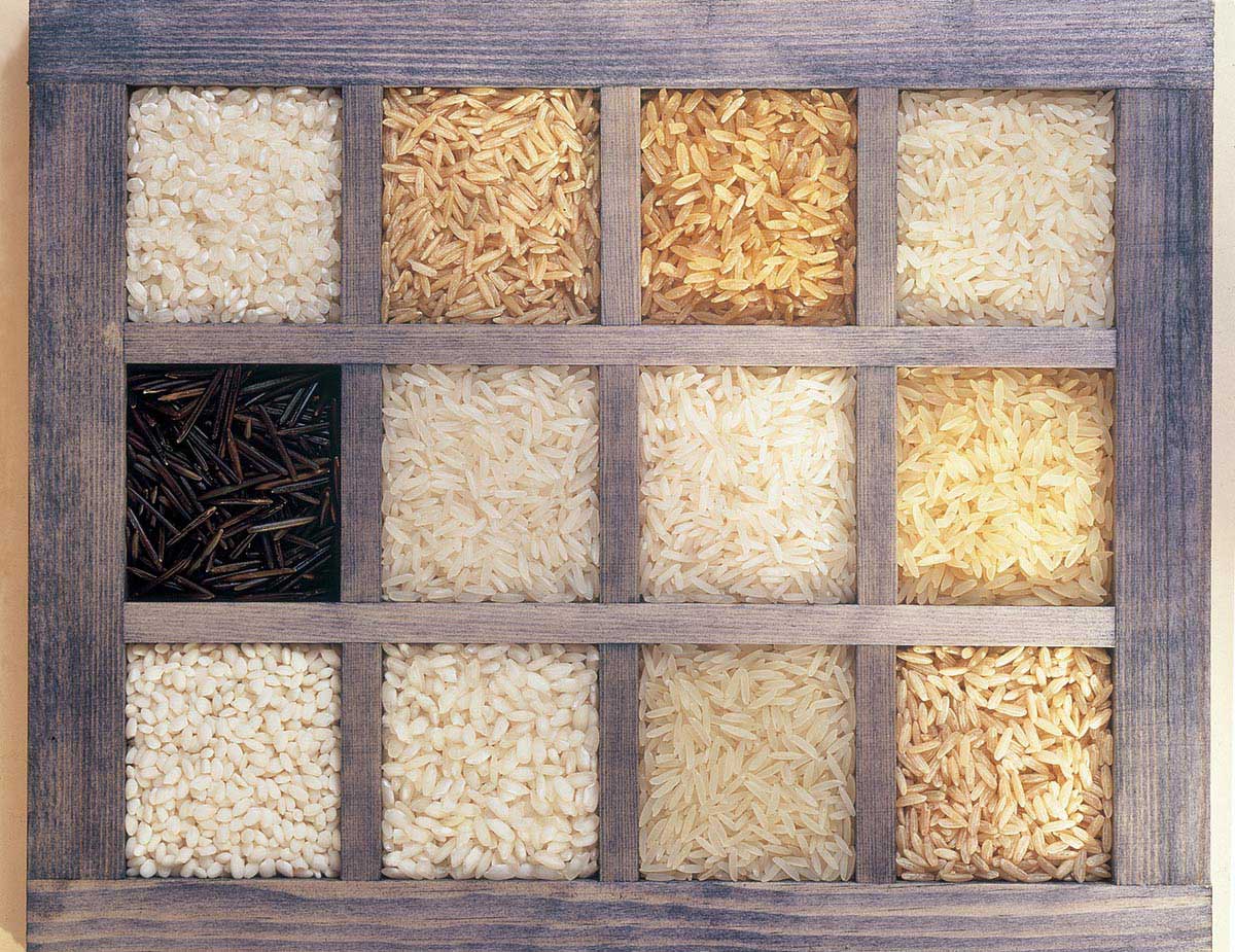 美国稻米产区