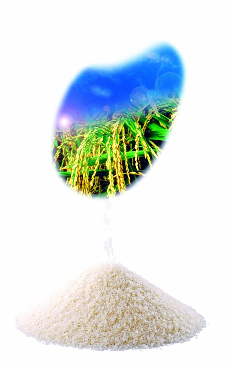 美国稻米的用心与承诺