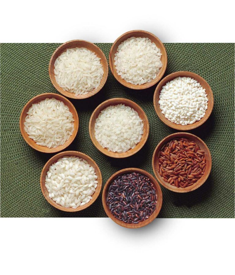 稻米的营养价值