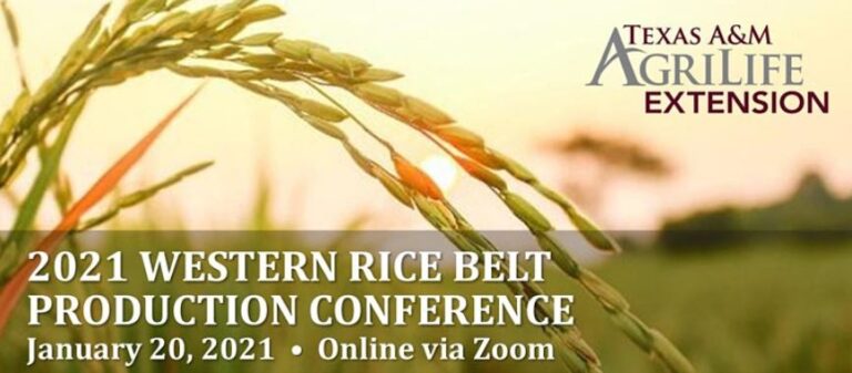 美国稻米协会出席2021西方大米联合生产研讨会