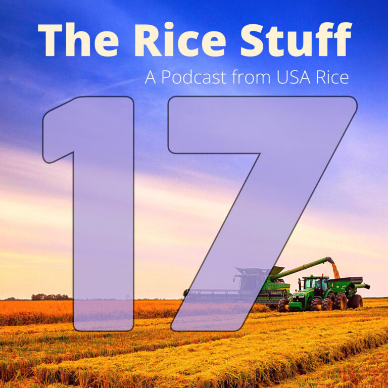 “稻米之事”播客探讨水资源使用效率问题