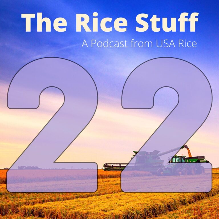 聆听新一期“稻米之事”播客，享受用大米酿造的啤酒