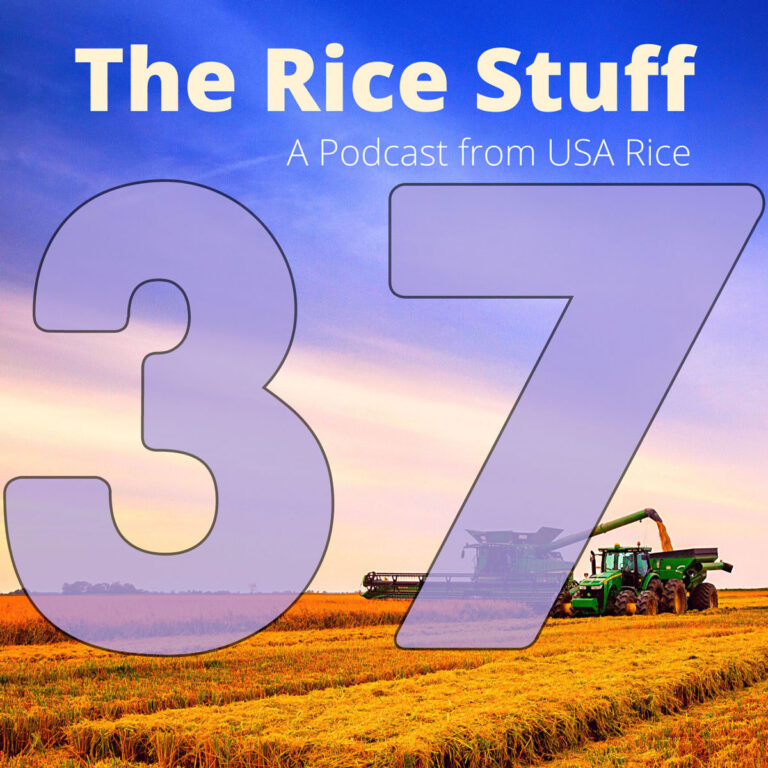 “稻米之事”播客探讨进口香米带来的危机和机遇