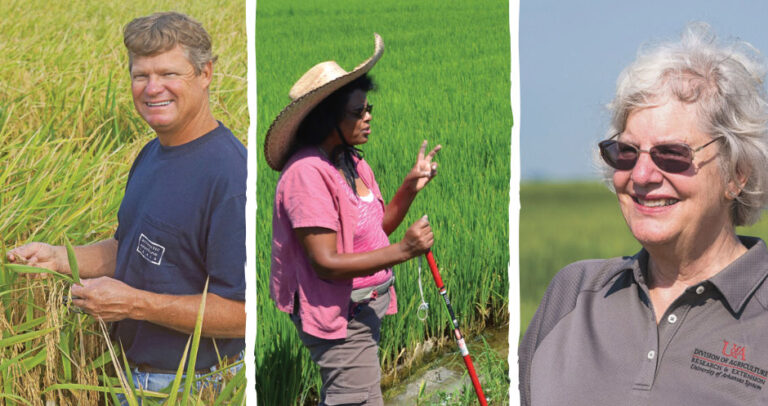 美国稻米行业颁发年度贡献、成就、领导力大奖