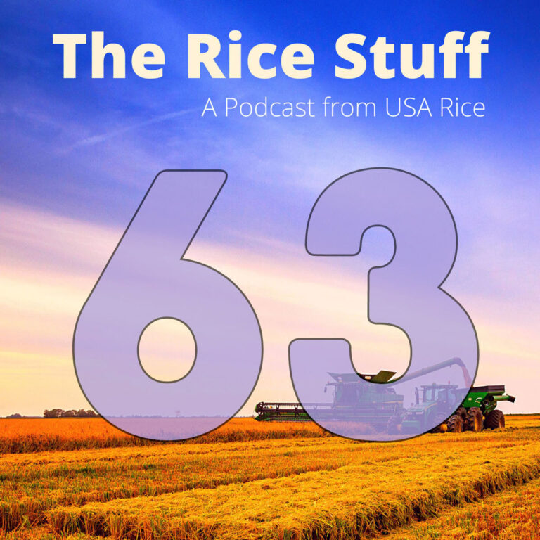 大厨参加稻米之事博客分享关于大米的烹饪技巧