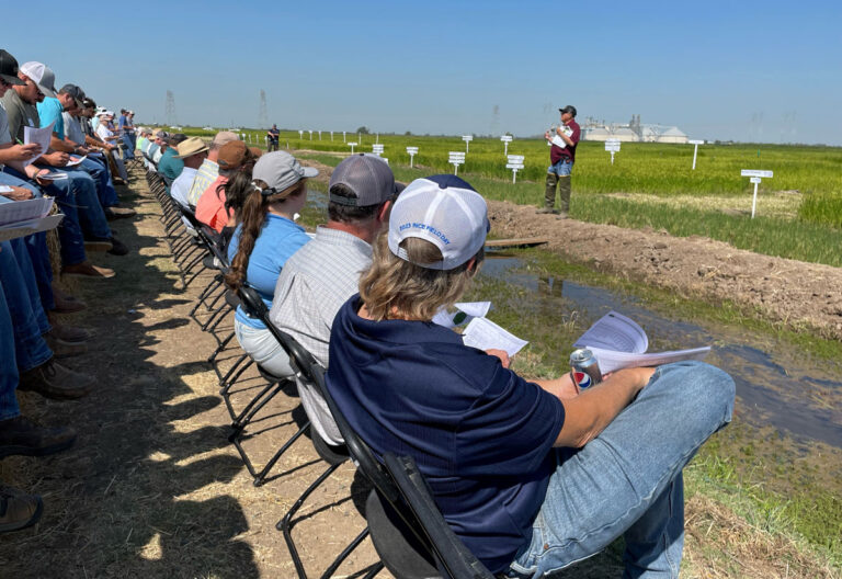 California Rice Field Day Heralds Industry’s Remarkable Recovery