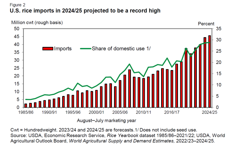 U.S. rice imports in 2024/25 projected to be a record high